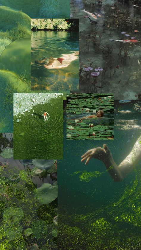 Green Algae Aesthetic, Pond Swimming Aesthetic, Algae Aesthetic, Pond Swimming, Pond Algae, Summer Moodboard, Green Algae, Design Clothes, Original Oil Painting