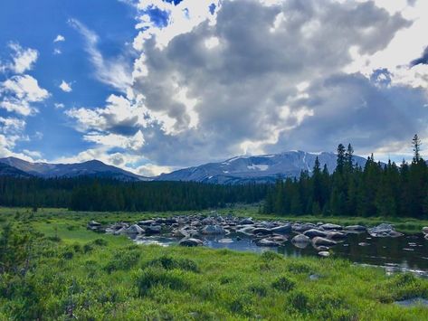 Wyoming Summer, Buffalo Wyoming, Rainy Lake, Western Romance, Alpine Lake, Hiking Trail, Pine Forest, Vacation Ideas, National Forest