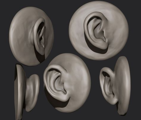 ArtStation - Anatomy studies -Ears Ear Study Reference, Ears Anatomy Drawing, Face Anatomy Reference, Ears Anatomy, Ear References, Ear Sculpture, Ears Reference, Ear Drawing, Anatomy Studies