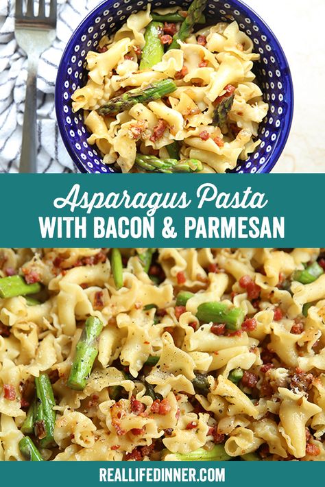 Asparagus Pasta with Bacon and Parmesan ~ https://reallifedinner.com Asparagus Pasta Recipes, Pasta Parmesan, Asparagus Pasta Salad, Bacon Pasta Recipes, Pasta With Bacon, Alfredo Sauce Recipe Homemade, Parmesan Asparagus, Asparagus Bacon, Asparagus Pasta