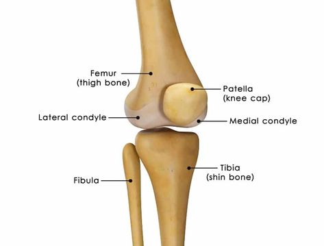 Cracking Knees, Exercises For Knee Pain, Patellar Tendon, Patellofemoral Pain Syndrome, My Knee Hurts, Knee Strengthening Exercises, How To Strengthen Knees, Muscle Imbalance, Knee Exercises