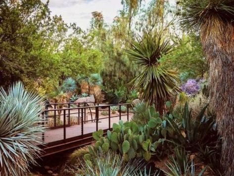 18 Most Fun Things To Do In Phoenix With A Teenager Montreal Botanical Garden, Arizona Style, Desert Botanical Garden, Empire Romain, Desert Life, Water Parks, Desert Garden, Beautiful Sights, Family Memories