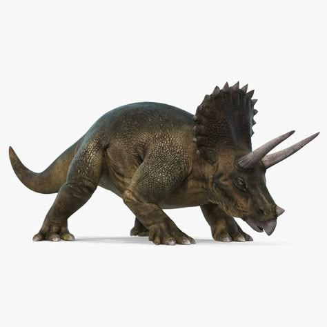 Triceratops Walking Pose 3D Model #AD ,#Walking#Triceratops#Model#Pose Fluffy Dinosaur, Dinosaur Photography, Battle Chess, Walking Pose, Graphic Design Portfolio Examples, Walking Poses, Jurassic World Evolution, Black Label Society, Dinosaur Illustration