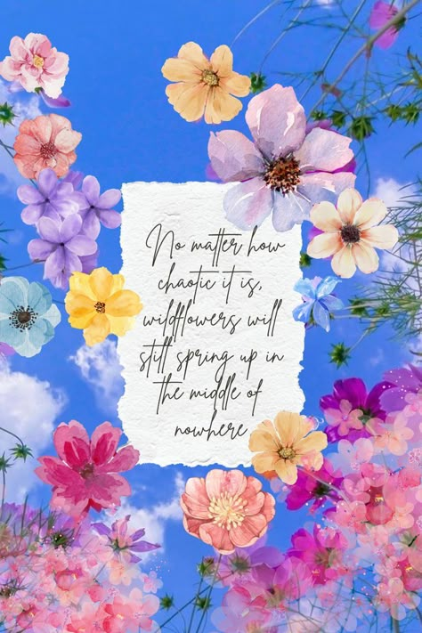 Spring Inspiration Quotes, Wildflower Quotes, Zedge Wallpapers, Love Gratitude, Wallpaper For Phone, Wallpaper Floral, Bible Quotes Images, In The Middle Of Nowhere, Good Morning World