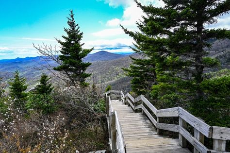 The Can’t-Miss North Carolina Hike for Every Nature Lover’s Bucket List Best Hikes In North Carolina, North Carolina Hiking, Blue Ridge Mountains, Best Hikes, Blue Ridge, Travel Around, Breathtaking Views, Nature Lover, North Carolina