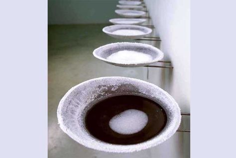 offering Water Art, Sculpture Installation, Contemporary Ceramics, Land Art, Conceptual Art, Ceramic Plates, Ceramic Sculpture, The Floor, Art Object