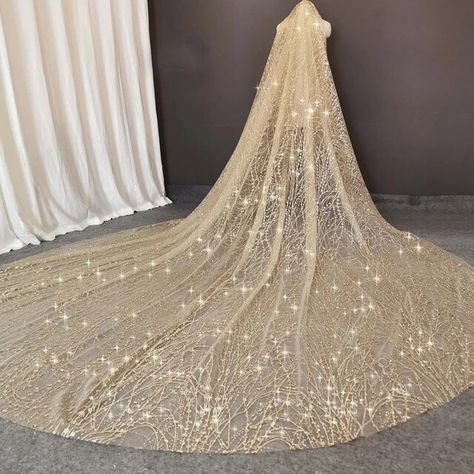 Luxury Sparkling Champagne Wedding Veil 3 M Long Heavy Glitter Sequins Dust Bridal Veil with Comb Veil for Bride _ - AliExpress Mobile Met Gala Ideas, Flowing Wedding Dress, Long Wedding Veils, Long Veils Bridal, Veil For Bride, Long Veils, Tulle Wedding Veil, Comb Veil, Vampire Princess