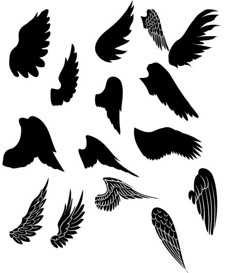 Wings Bird Wing Template, Wings Template, Angel Wing Silhouette, Wings Bird, Silhouette Curio, Tattoo Templates, Image Svg, Mandala Tattoo Design, Silhouette Images