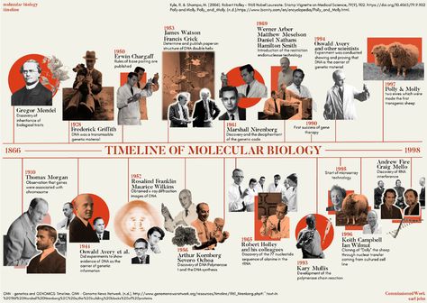 Timeline Infographic Design, Timeline Project, Mises En Page Design Graphique, History Posters, Infographic Design Layout, Timeline Infographic, Timeline Design, History Timeline, 카드 디자인