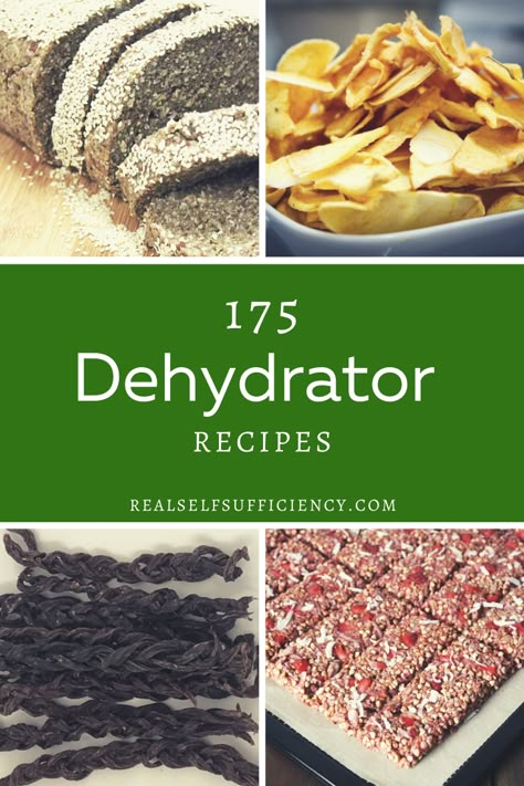 Try some our exciting dehydrator recipes! Food Dehydrator Recipes, Dehydrator Recipes Fruit, Dehydrating Food Storage, Food Dehydration, Dehydrated Vegetables, Food Dehydrator, Dehydrated Fruit, Sleep Eye, Dried Vegetables