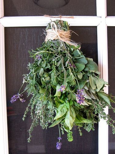 Herb Bouquet, Herb Wreath, Mint Bridesmaid, Lavender Wedding Flowers, Hanging Herbs, Edible Flowers, Drying Herbs, Green Wedding, Bridesmaid Bouquet