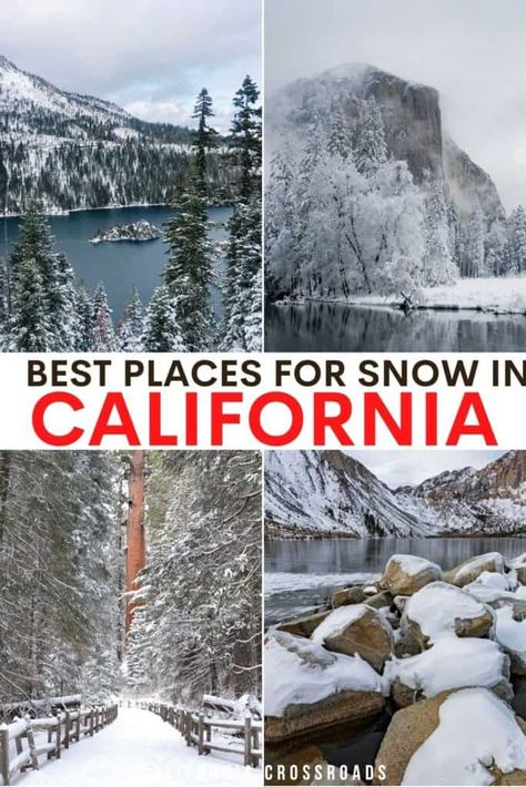 photos of different snowy lakes, forests, and national parks in California in the winter. text reads the best places for snow in California. California In The Winter, Snow Places, Winter In California, California Snow, Usa Vacations, Snow Play, Winter Getaways, Los Padres National Forest, California Winter