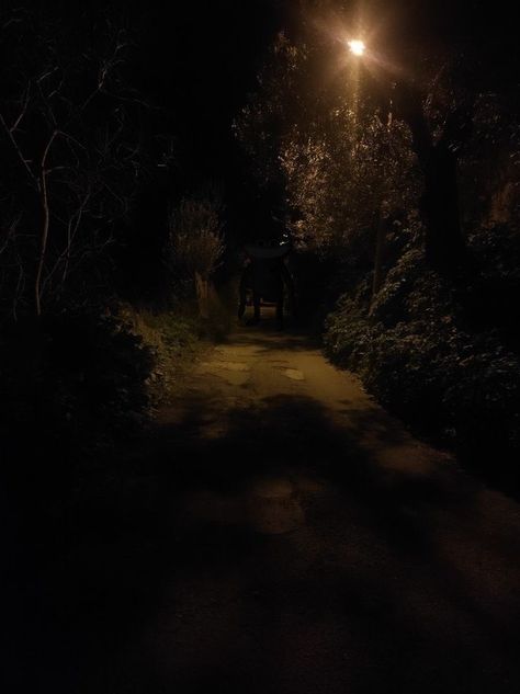 Night Sky Photography, Dark Street, Breathtaking Photography, Night Pictures, Night Forest, Forest Path, Night Scenery, Scary Places, Night Vibes