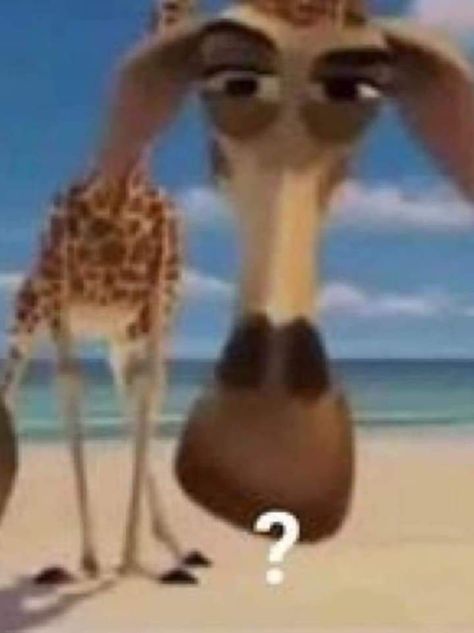 Giraffe Meme, Minimalist Tattoo Ideas, Goofy Pictures, Reaction Face, Meme Stickers, Memes Humor, Mood Humor, Very Funny Pictures, Silly Pictures