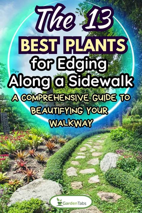 The 13 Best Plants for Edging Along a Sidewalk—A Comprehensive Guide to Beautifying Your Walkway Simple Sidewalk Landscaping, Sidewalk Border Ideas Landscape Edging, Plants For Walkway Border, Walkway Shrubs, Walkway Landscaping Plants, Plants For Narrow Borders, Plants For Walkway, Sidewalk Plants, Walkway Plants