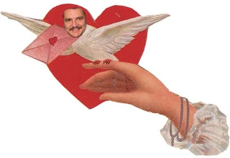 he’s here to deliver the love Dove Set, Arte Inspo, St Valentin, Vintage Valentines, San Valentino, Love Letters, Wall Collage, A Heart, Collage Art