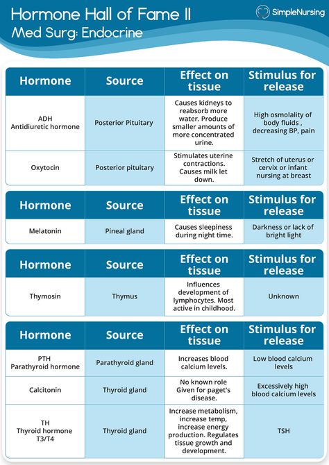 Hormone List 2 of 3 - Study Guide Simple Nursing - Hormone Hall of Fame II Med Surg: Endocrine - Studocu Hormone Study Notes, Endocrine Medications Nursing Students, Simple Nursing Study Guides Endocrine, Genitourinary System Nursing, Endocrine Nursing, Simple Nursing Study Guides, Endocrine System Hormones, Endocrine Hormones, Simple Nursing