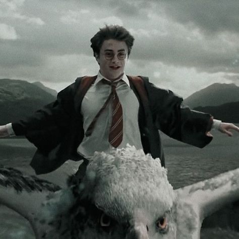 Harry Potter Creatures, Harry Potter Test, No Mans Sky, Harry Potter Ron And Hermione, Hp Harry Potter, Harry Potter Icons, The Prisoner Of Azkaban, Harry Potter Gif, Harry James