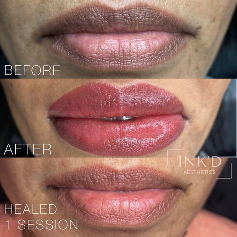 𝗠𝗜𝗔𝗠𝗜 𝗟𝗜𝗣 𝗕𝗟𝗨𝗦𝗛 - 𝗢𝗠𝗕𝗥𝗘 𝗕𝗥𝗢𝗪𝗦 - 𝗕𝗥𝗢𝗪 𝗟𝗔𝗠𝗜 | Lip Neutralization is a unique and gradual process that works to both even-out lip tone as well as slightly brighten naturally darker lips.… | Instagram Lip Neutralization, Water Color Lips, Ombre Brows, Lip Lightening, Lip Shade, Lip Blush, Bottom Lip, Lips Shades, Lip Tattoos