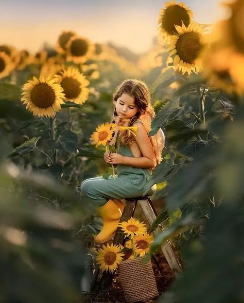 Sunflower Mini Session, Sunflower Field Photography, Sunflower Field Pictures, Outdoor Portrait Photography, Wildflower Photo, Sunflower Photography, Sister Pictures, Beautiful Photoshoot Ideas, Sunflower Photo