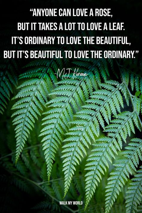 MJ Korvan - Quotes about leaves Leaf Quotes Leaves, Quotes About Leaves, Plants Quotes Life Inspiration, Quotes For Nature, Wind Quote, Road Quotes, Leaf Quotes, Leaving Quotes, Caroline Leaf