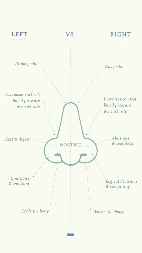 Right Nostril Breathing, Breathe Work, Nostril Breathing, Yoga Breathing Exercises, Yoga Breathing Techniques, Yoga Teacher Resources, Pranayama Breathing, Yoga Education, Pranayama Yoga