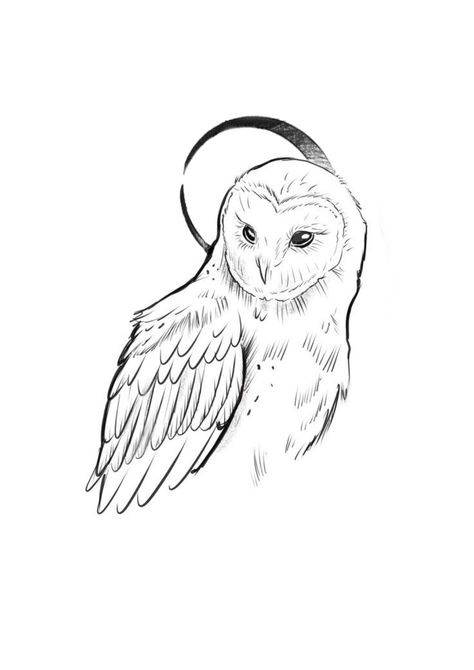 Snowy Owl Tattoo, Hedwig Tattoo, Owl Drawing Simple, Barn Owl Drawing, Barn Owl Tattoo, Owl Tat, Owl Sketch, 얼굴 드로잉, Owl Tattoo Design