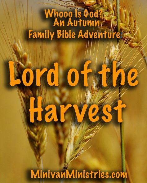 Fall Sunday School Lessons, Thanksgiving Sunday School Lesson, Youth Bible Lessons, Godly Parenting, Growing Spiritually, Harvest Bible, Harvest Crafts, Devotions For Kids, Kids Church Lessons