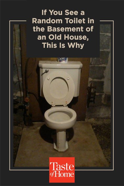 Standalone toilets in the basement are an outdated concept. Why were they necessary in the first place? Raised Toilet Platform Basement, Basement Powder Room, Basement Toilet, Old Toilet, Open Basement, Old Basement, Unfinished Basement, Basement Bathroom, The Basement