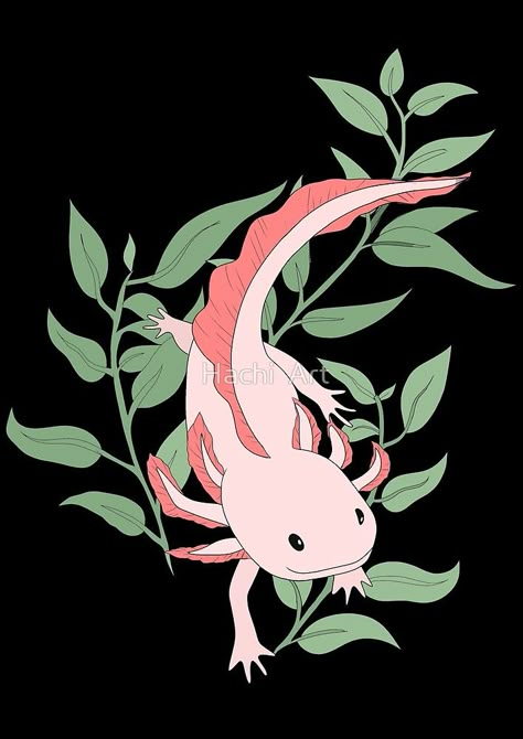 Axolotl Axalotal Drawing, Axolotl Painting Easy, Cute Axolotl Wallpaper, Axolotl Drawings, Cute Axolotl Drawing, Axolotl Painting, Axolotl Wallpaper, Axolotl Illustration, Axolotl Tattoo