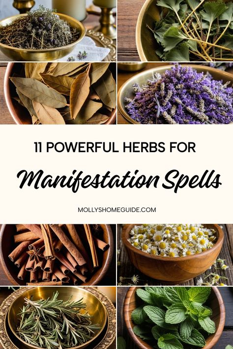 Enhance your herbal rituals with the power of magical herbs for manifestation spells. Explore a variety of spell ingredients perfect for prosperity, happiness, insight, banishing, love, healing, success, and protection. Learn about the properties of herbs and how to incorporate them into your manifestation rituals effortlessly. From simple tea magick to creating powerful spell jars, discover how these herbal allies can amplify your witchcraft practices. Herb Spells Witchcraft, Herbal Magic Recipes, Herbal Spells Witchcraft, Wiccan Recipes Food, Herbs For Manifesting, Manifestation Herbs, Herbs For Manifestation, Prosperity Herbs, Herbal Spells