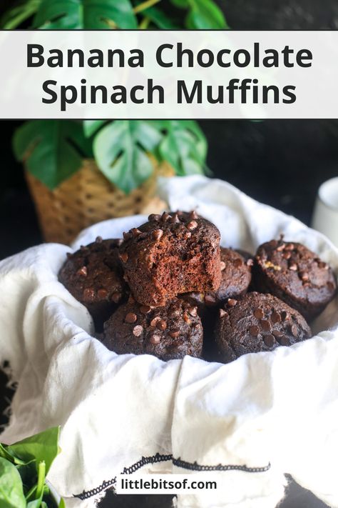 Banana Chocolate Spinach Muffins - Little Bits of... Spinach Chocolate Chip Muffins, Spinach Banana Muffins Toddler, Chocolate Spinach Muffins, Banana Chip Muffins, Paleo Blueberry Muffins, Spinach Muffins, Double Chocolate Muffins, Chocolate Banana Muffins, Banana Chocolate Chip Muffins