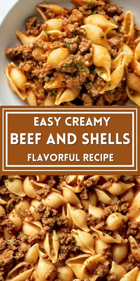 Creamy Beef and Shells Recipe Designed For Maximum Flavor Easy Meat Sauce And Shells, Creamy Beef And Shells Recipe, Beef And Shells Recipe, Shells Pasta Recipes, Beef And Pasta Recipes, Creamy Shells And Beef, Creamy Beef Pasta, Creamy Beef And Shells, Beef And Shells