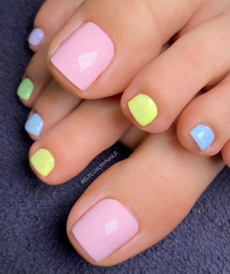 Pastel Pedicure Toenails, Pastel Pedicure, Rainbow Pedicure, Foot Nail Art, Halloween Toe Nails, Easy Toe Nail Designs, Feet Nail Design, Beachy Nails, Foot Nail