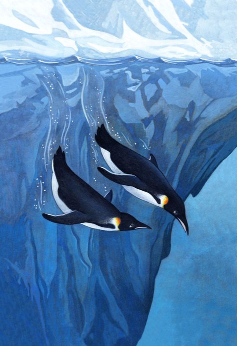 Children — Rebecca Solow Illustration Animal Design Illustration, Marine Life Art, Fish Under The Sea, Book Illustration Design, Penguin Illustration, Ocean Illustration, Penguin Art, Deep Sea Creatures, Sea Art