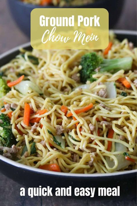 Pork Chow Mein Recipe Easy, Pork Low Mein, Ground Pork Noodles, Low Mein, Pork Chow Mein, How To Cook Garlic, Asian Noodle Dishes, Ground Pork Recipes, Salmon Spices