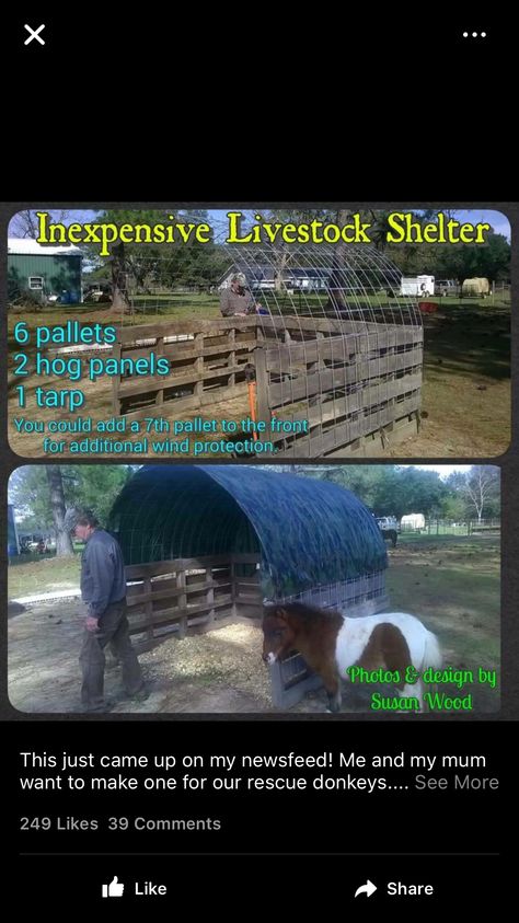 Cheap livestock shelter Temporary Goat Shelter, Livestock Shelter, Goat Shelter, Goat House, Horse Shelter, Goat Barn, Future Farms, Horse Ideas, Shaped Nails