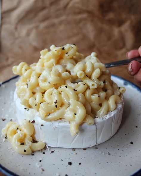 Brie Mac And Cheese, Brie Cheese Recipes, Cheese Day, Cheese Wheel, Brie Recipes, Macaroni N Cheese Recipe, Brie Cheese, Mac N Cheese Recipe, Macaroni Cheese