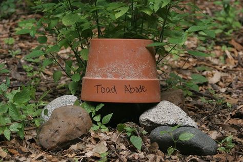 DIY Toad Abode - Houston Arboretum & Nature Center Toad Abode, Houston Arboretum, Toad House, Habitat Garden, Arbour Day, Wildlife Gardening, Greenhouse Gardening, Nature Center, House Garden