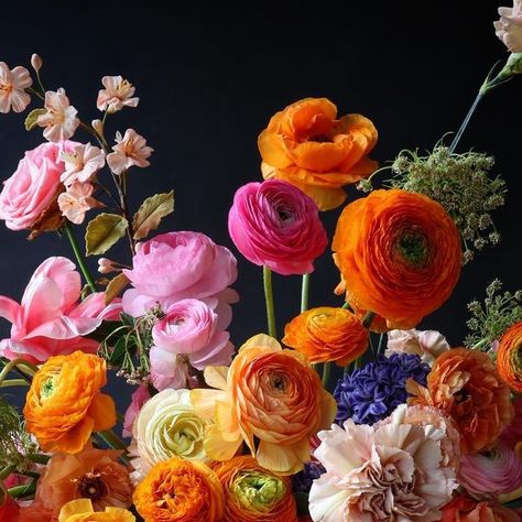 Natasja Sadi on Instagram Bright And Colorful Aesthetic, Wendy Goodman, Botanical Sketchbook, Fancy Flowers, New York Magazine, I Am So Happy, Forever Grateful, Sweet Floral, Beautiful City