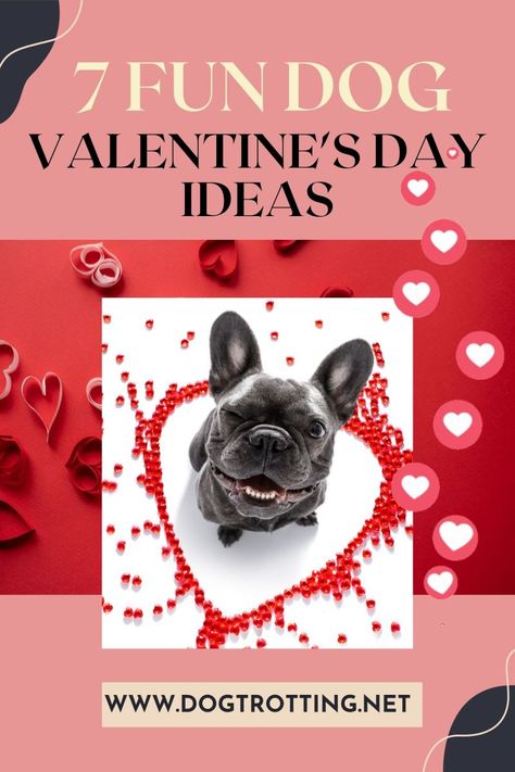 Make it a Dog Valentine's Day: 7 Fun Ideas Dog Daycare Valentines Day, Valentines Dog Craft, Valentine’s Day Dog Photo Shoot, Dog Valentine Photos, Dog Valentines Day Photoshoot, Dog Art Projects, Dog Nose Print, Activities For Dogs, Valentines Dog