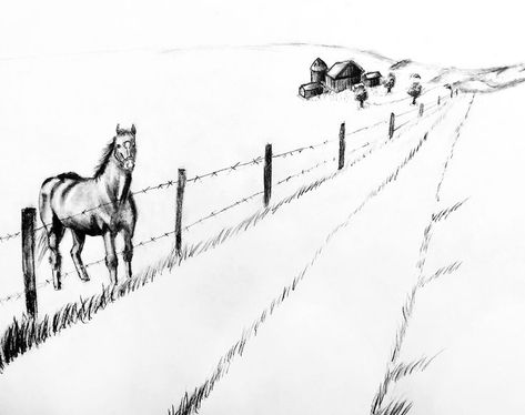 Grass Drawing, Barbed Wire Fence, Beginner Sketches, Barbed Wire Fencing, Horse Fencing, Wire Fence, Horse Drawings, Horse Barns, Horse Barn