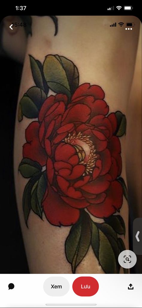 Traditional Red Flower Tattoo, Red Peonies Tattoo, Flower Tattoos Traditional, Neotraditional Peony Tattoo, Red Peony Tattoo, Neotraditional Peony, Neotraditional Sleeve, Traditional Poppy Tattoo, Knee Tats