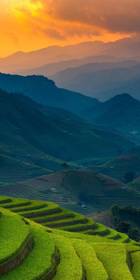 Philippines Wallpaper, Philippines Destinations, Rice Fields, Image Nature, Rice Terraces, Philippines Travel, Nature Aesthetic, Scenery Wallpaper, Aesthetic Backgrounds