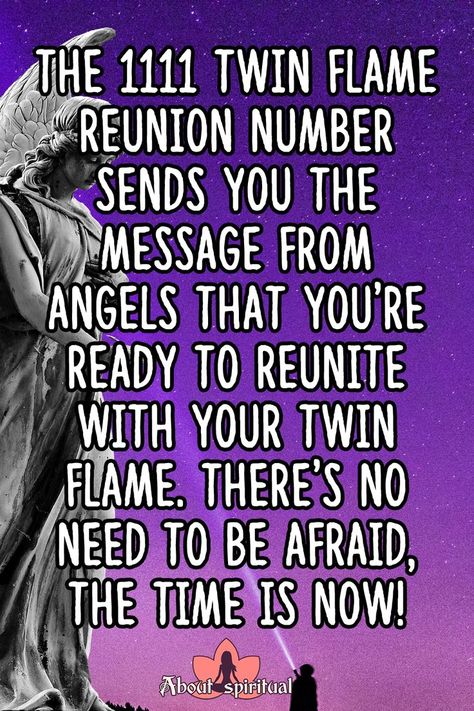 1111 twin flame reunion Twin Flame Meaning, 1111 Twin Flames, 1111 Angel Number, Twin Flame Reunion, Twin Souls, Twin Flame Love, Inner Guidance, Become Wealthy, Lost My Job