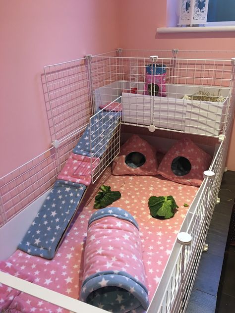 Fleece C&C Guinea Pig cage set up Indoor Guinea Pig Cage, Pig Habitat, Diy Guinea Pig Cage, Guinea Pig Cages, Guinea Pig Diy, Bunny Diy, Guinea Pig Hutch, C&c Cage, Guinea Pig House