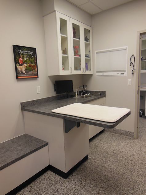 Vet Clinic Exam Room Ideas, Veterinary Clinic Exam Rooms, Small Vet Clinic Design, Vet Exam Room, Hospital Floor Plan, Medical Office Interior, Consulting Room, Daycare Design, New Hospital