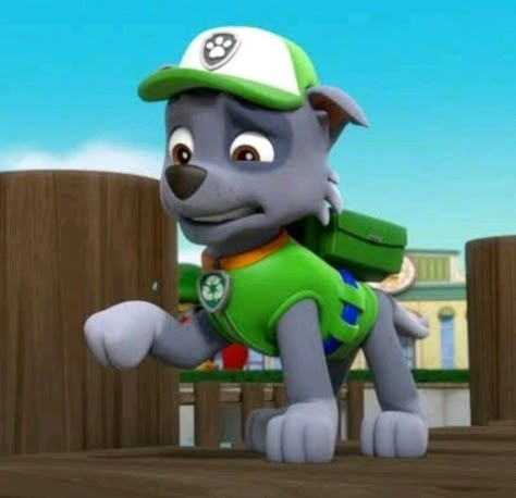 Rocky From Paw Patrol, Paw Patrol Rocky, Olympic Runners, Rocky 3, Paw Patrol Pups, Paw Patrol Nickelodeon, Shepherd Dogs, German Shepherd Dogs, Paw Patrol