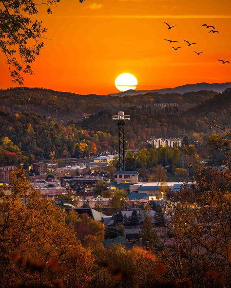 Gatlinburg, TN in the Fall is so picturesque it almost doesn't feel real. 😍  Find your gorgeous Great Smoky Mountain Fall getaway 👇  https://bit.ly/42gUEFn Fall Mountains, Tennessee Mountains, Mountains Tennessee, Smoky Mountains Tennessee, Smoky Mountain Cabin Rentals, Indoor Skydiving, Smoky Mountains Cabins, Fall Getaways, Vacation Cabin