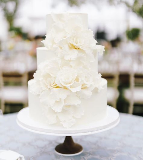 Cakes By Rachel | Stop and stare… at these sugar flower cakes from reels we’ve posted! For all your “zooming in” needs 👀 Cake One 🌸 Photos:... | Instagram White Rose Wedding Cake, Minimal Wedding Cake, Sugar Flowers Cake, Minimal Wedding, Wedding Cakes With Flowers, Sugar Flowers, Minimalist Wedding, Flower Cake, First Photo